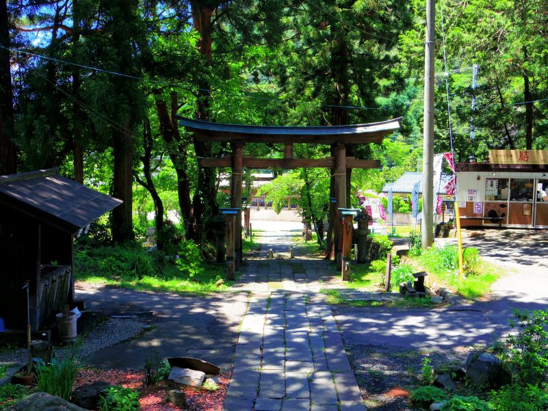 夏の神社